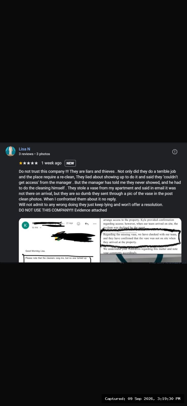 Screenshot of Google review attributed to Lisa N