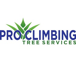 Pro Climbing Tree Services