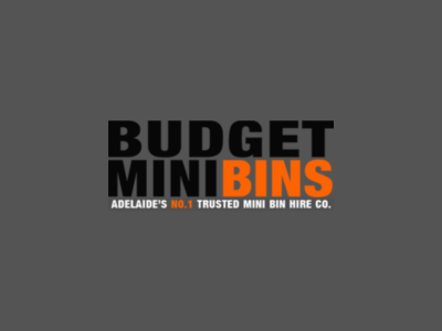 Budget Mini Bins